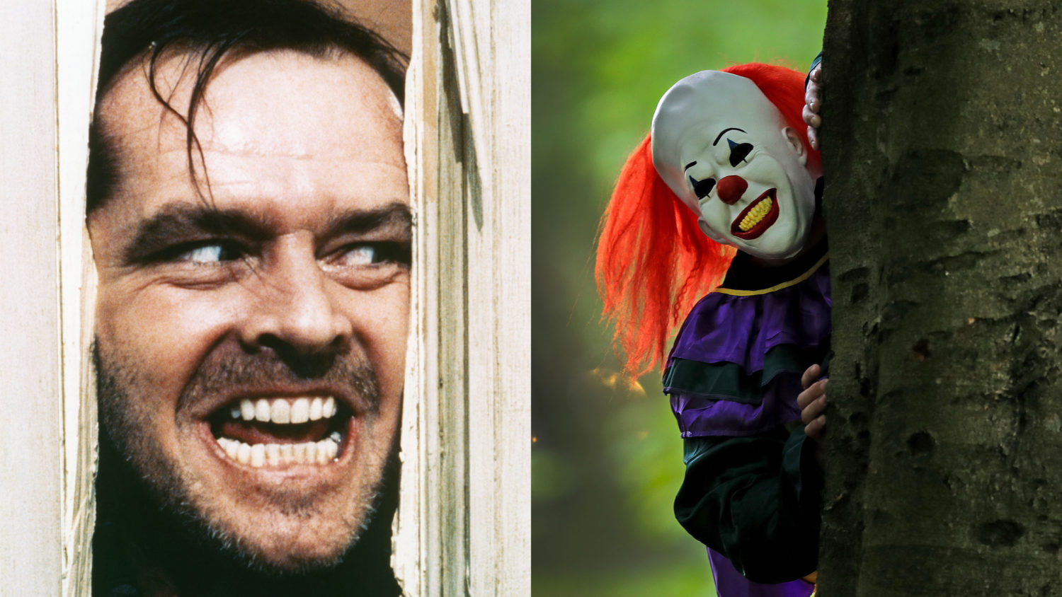 Top-Horrorfilme basierend auf wahren Begebenheiten: die besten Filme