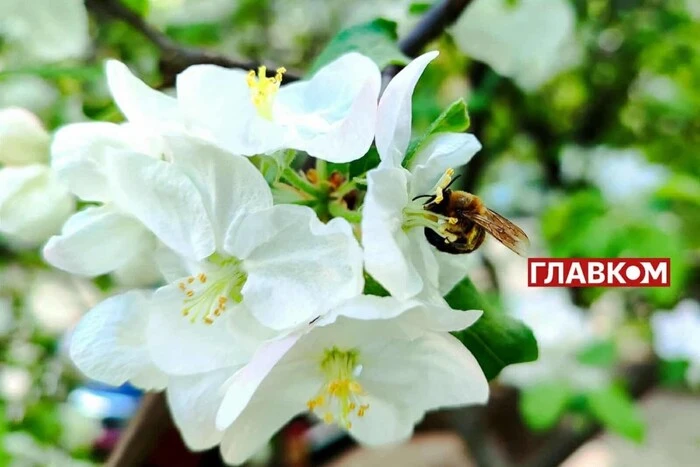 Хмарний день в Україні