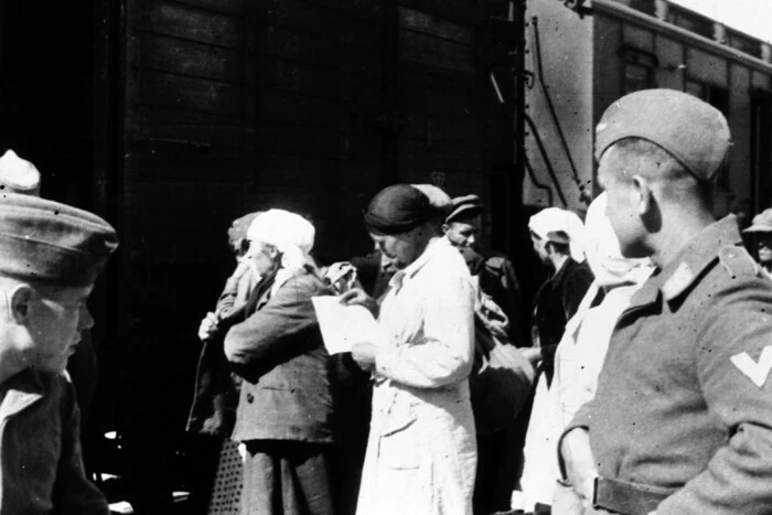 Losses of Ukraine in World War II