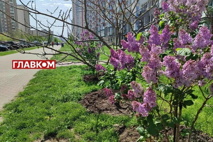 Прогноз погоды на 8 мая