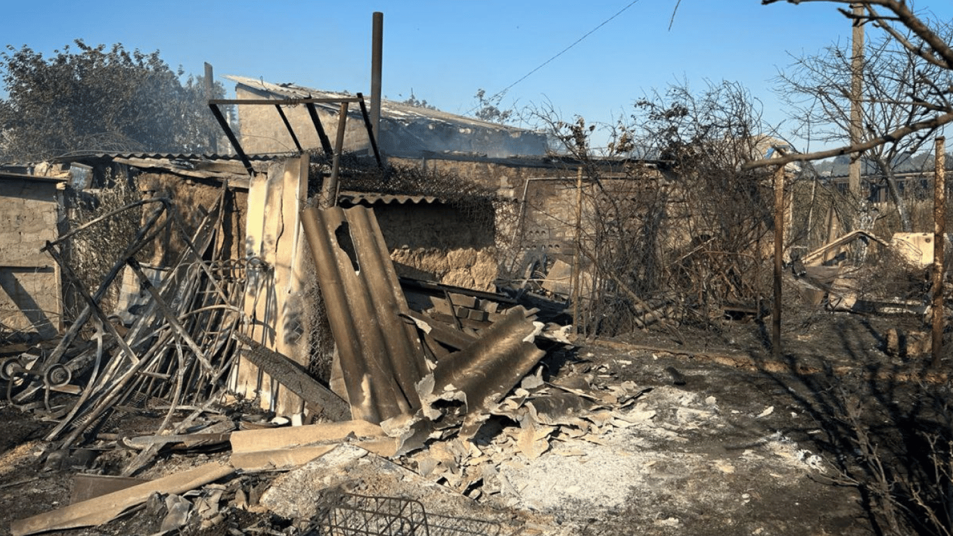Одещина у вогні — через загоряння сухої трави є загибла