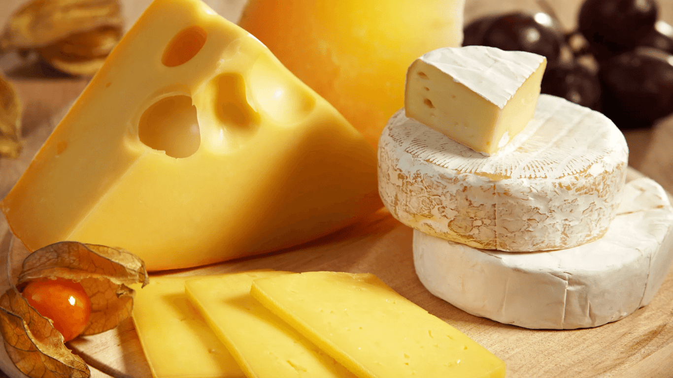 В сыре российских производителей обнаружены кишечные палочки — в каком продукте это выяснили