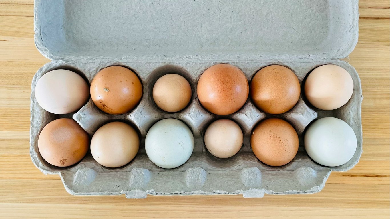 You won't find cheaper eggs — where to go for a bargain and what will happen to prices